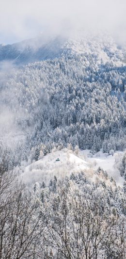 [2436x1125]自然 山峰 树木 雪景 唯美 苹果手机壁纸图片