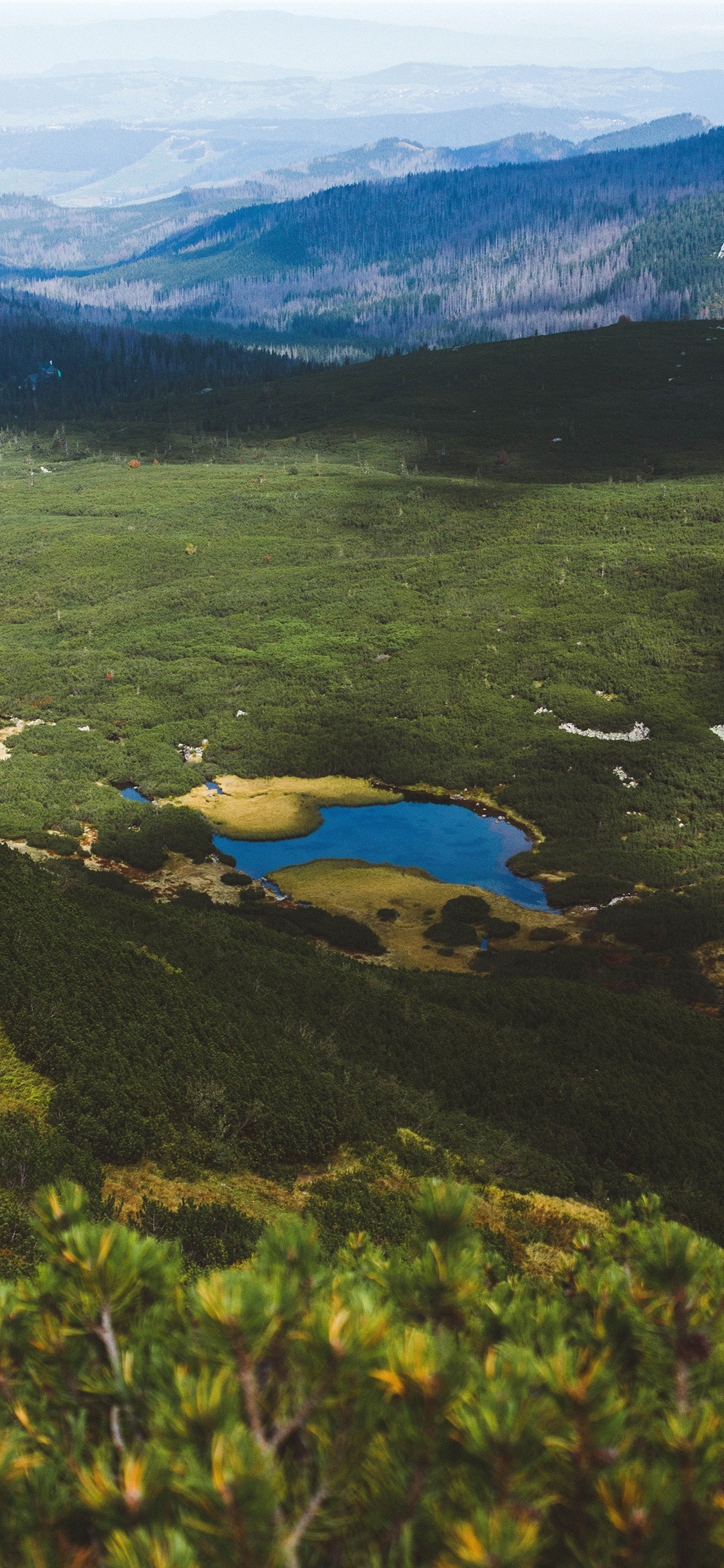 [2436×1125]自然 山河美景 草坪 平原 苹果手机壁纸图片