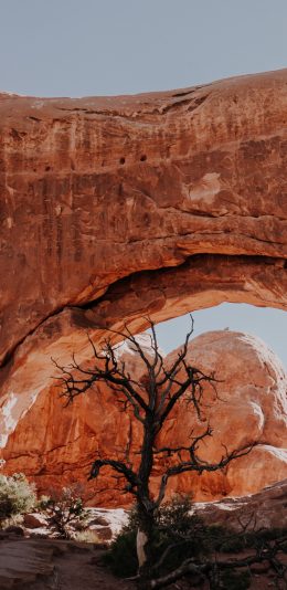 [2436x1125]自然 景色 山峰 枯木 苹果手机壁纸图片