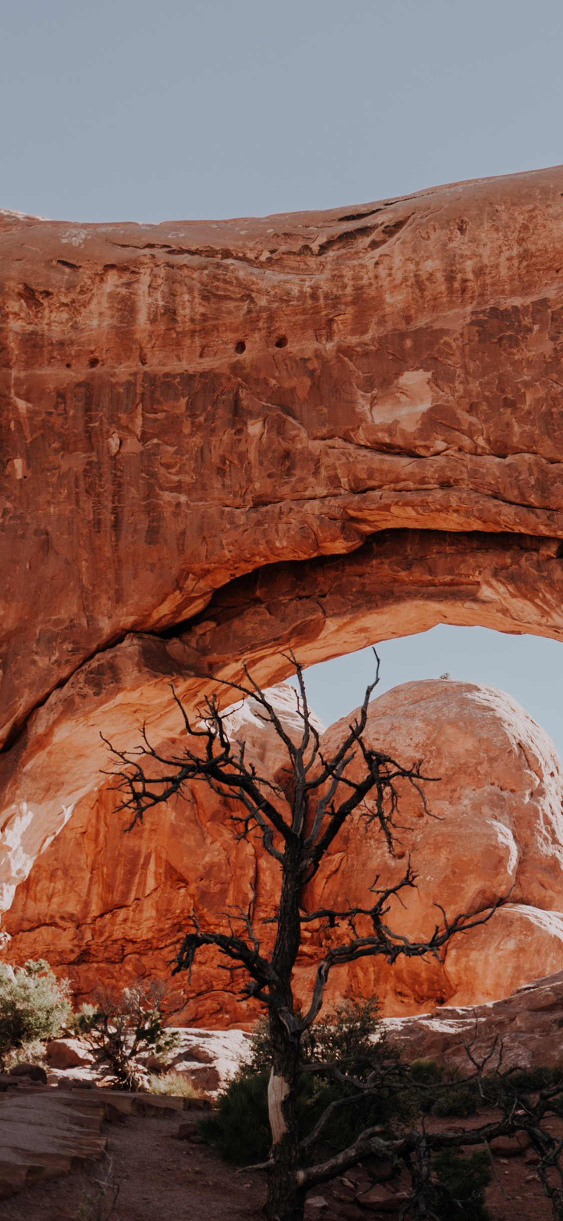 [2436×1125]自然 景色 山峰 枯木 苹果手机壁纸图片