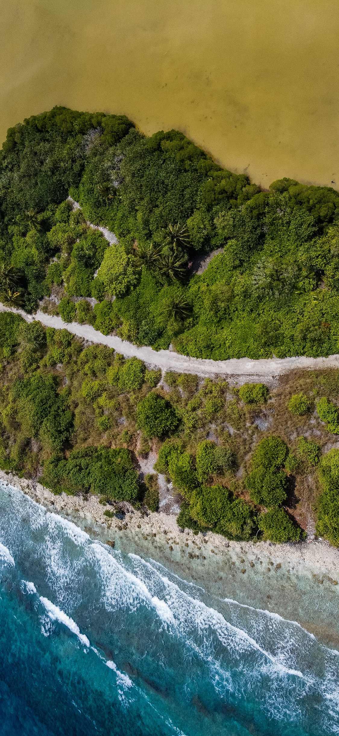 [2436×1125]自然 植被 海水 美景 苹果手机壁纸图片