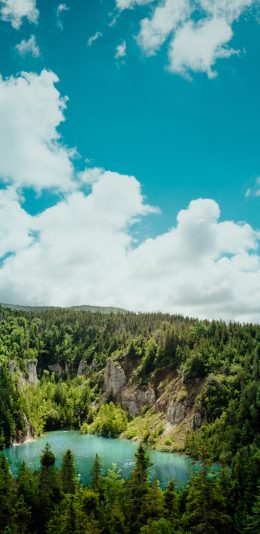 [2436x1125]自然 湖泊 蓝天白云 树林 苹果手机壁纸图片