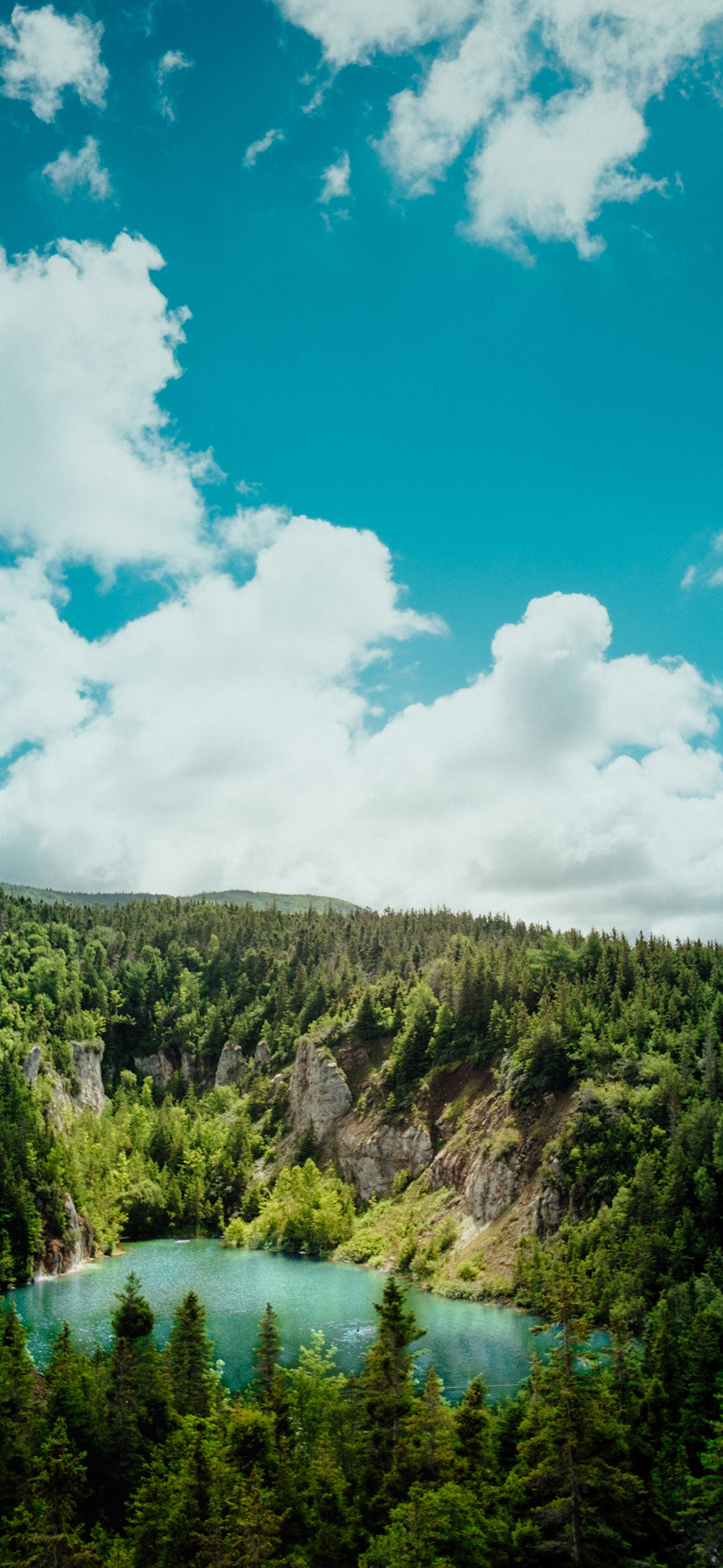 [2436×1125]自然 湖泊 蓝天白云 树林 苹果手机壁纸图片