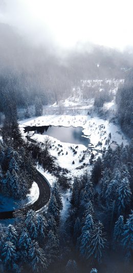 [2436x1125]自然 航拍 森林 美景 苹果手机壁纸图片