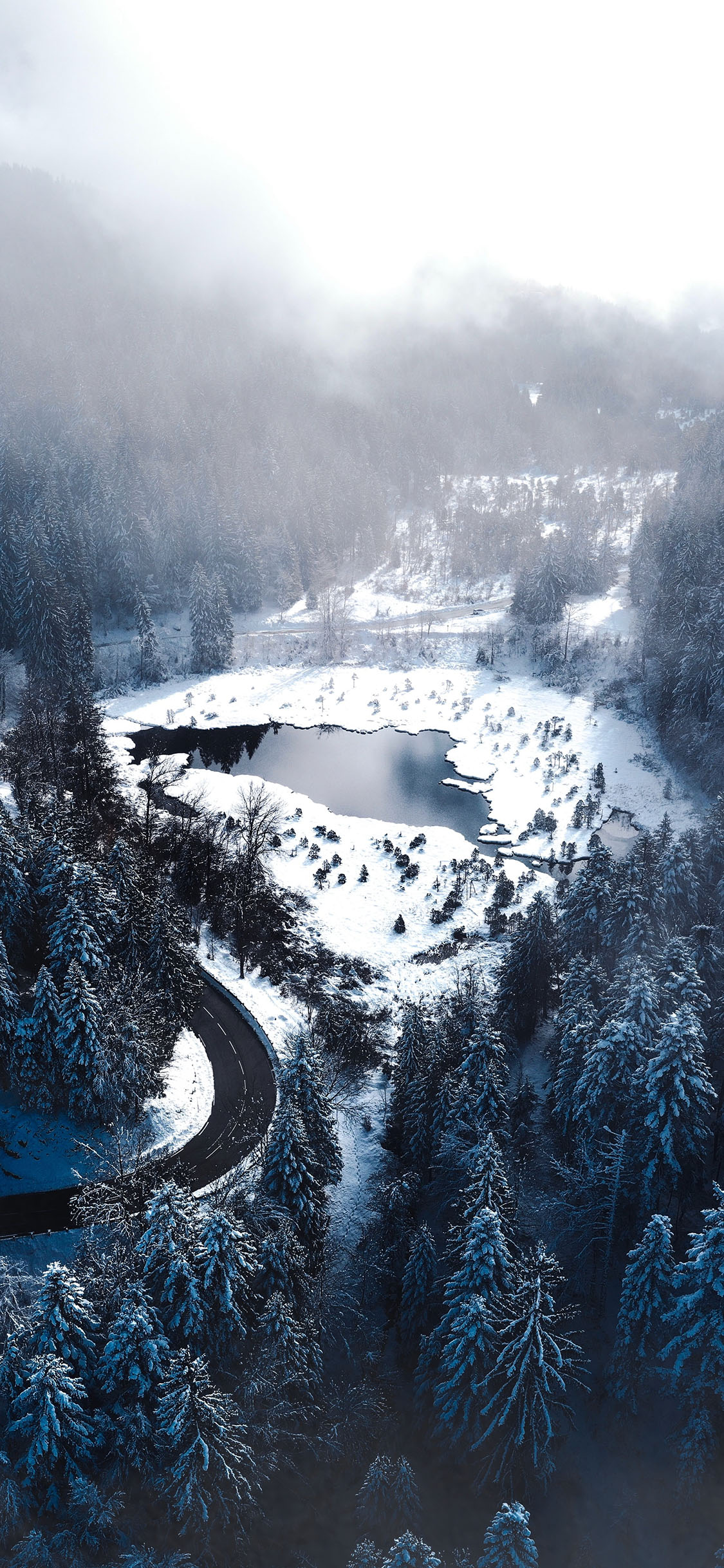 [2436×1125]自然 航拍 森林 美景 苹果手机壁纸图片