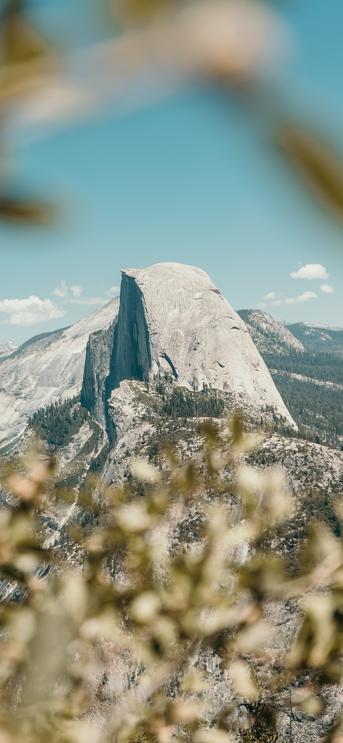 [2436×1125]自然 蓝天 山峰 树木 美景 苹果手机壁纸图片