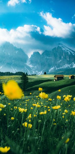 [2436x1125]自然 蓝天 山峰 鲜花 花田 苹果手机壁纸图片