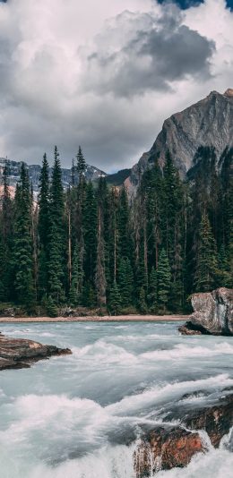 [2436x1125]自然 蓝天 树木 瀑布流水 美景 苹果手机壁纸图片