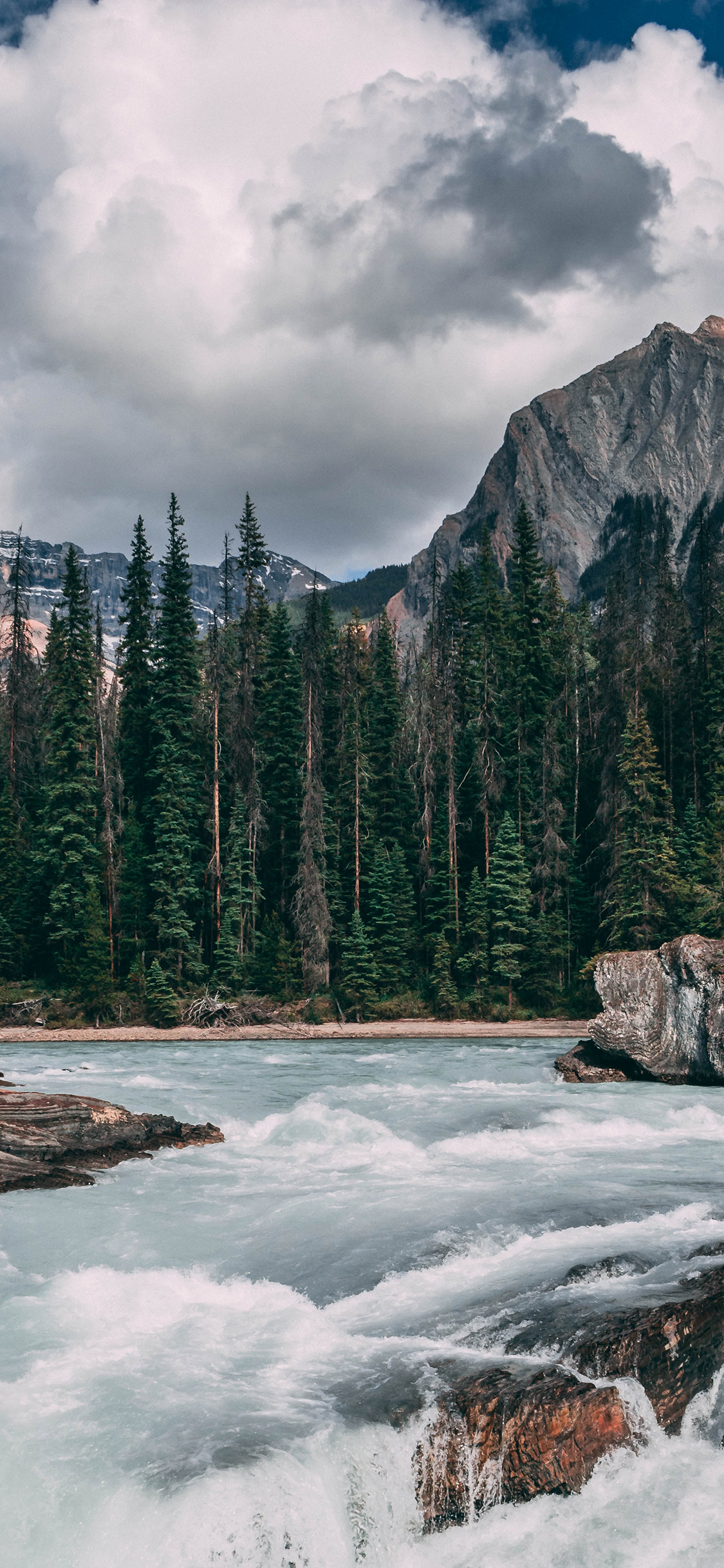 [2436×1125]自然 蓝天 树木 瀑布流水 美景 苹果手机壁纸图片