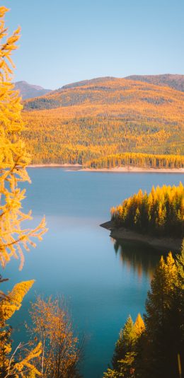 [2436x1125]自然 郊外 湖泊 美景 苹果手机壁纸图片