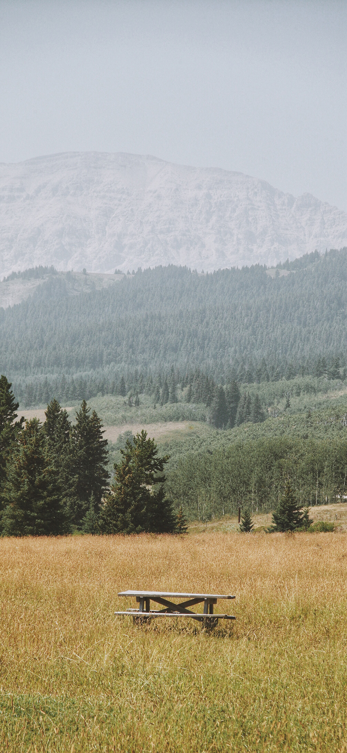 [2436×1125]自然 郊外 美景 木椅 苹果手机壁纸图片