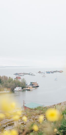 [2436x1125]自然 鲜花 河流 船只 苹果手机壁纸图片
