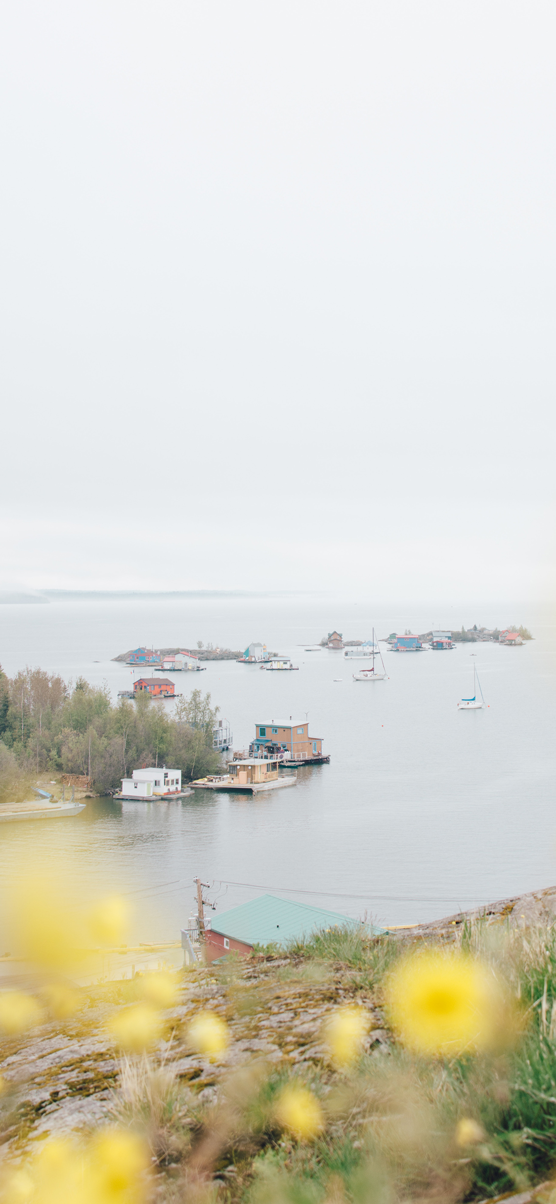 [2436×1125]自然 鲜花 河流 船只 苹果手机壁纸图片