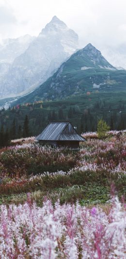 [2436x1125]自然美景 山峰 花田 木屋 苹果手机壁纸图片