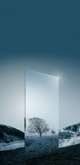 [2436x1125]自然风景 山峰 树木 鹿 镜子 苹果手机壁纸图片