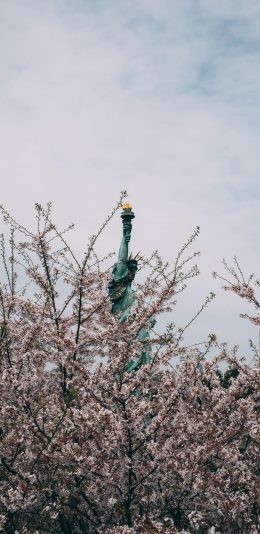 [2436x1125]自由女神 纽约 美国 雕塑 火炬 鲜花 苹果手机壁纸图片