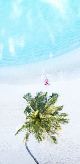 [2436x1125]航拍 大海 沙滩 椰树 美景 苹果手机壁纸图片