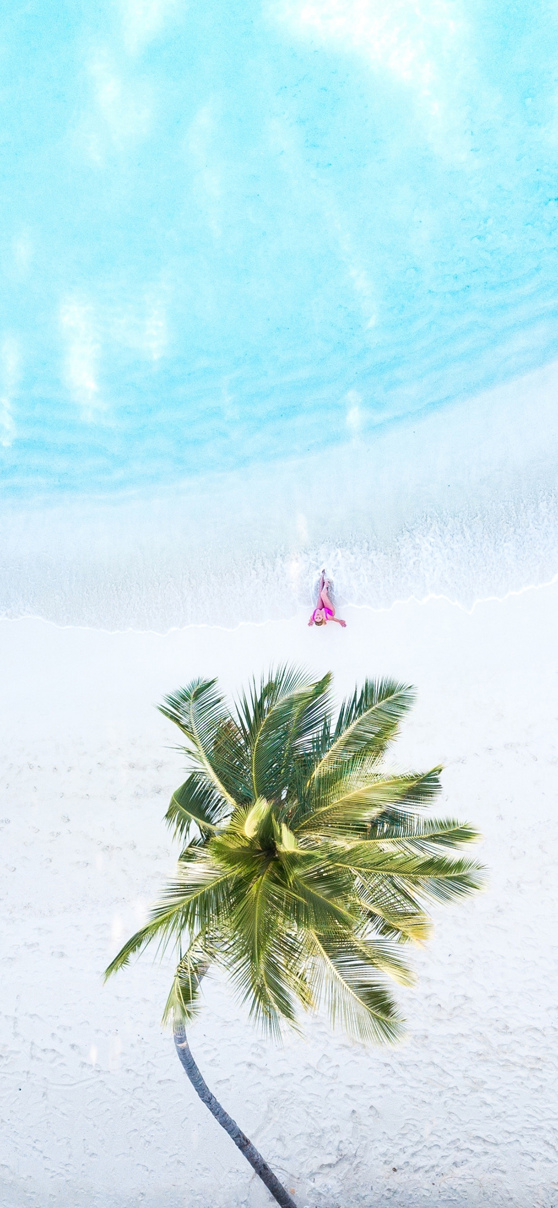 [2436×1125]航拍 大海 沙滩 椰树 美景 苹果手机壁纸图片