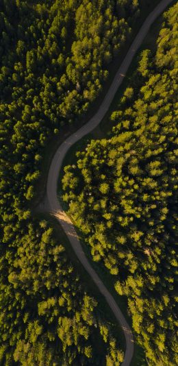 [2436x1125]航拍 森林 树木 道路 苹果手机壁纸图片