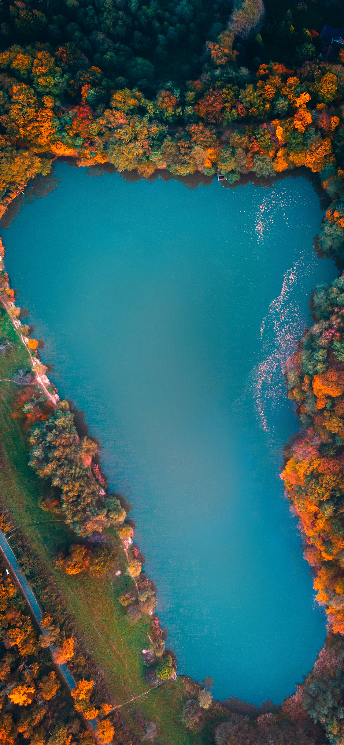 [2436×1125]航拍 自然 湖泊 湛蓝 苹果手机壁纸图片