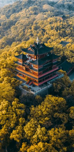 [2436x1125]航拍 西湖 城隍阁 建筑 山顶 苹果手机壁纸图片