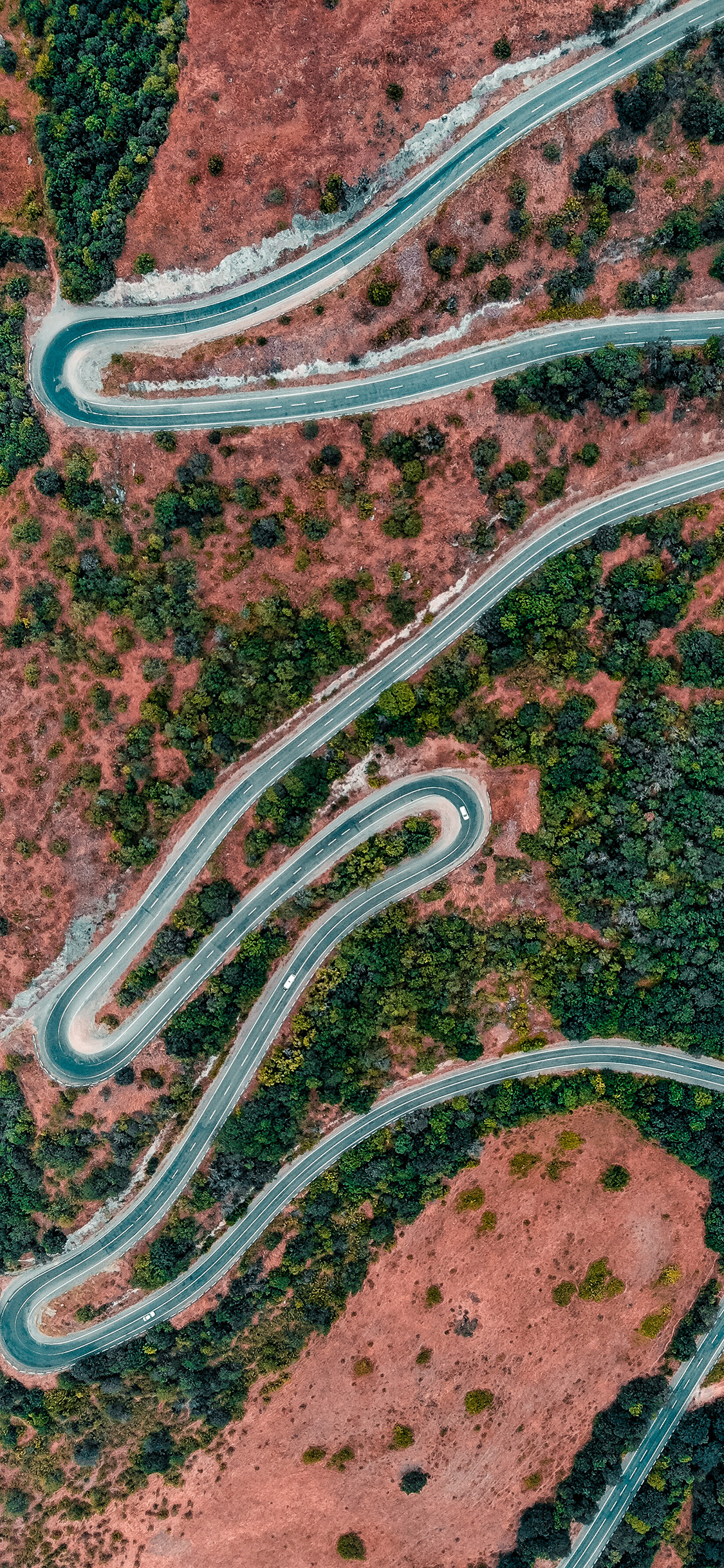 [2436×1125]航拍 车道 蜿蜒 植被 苹果手机壁纸图片