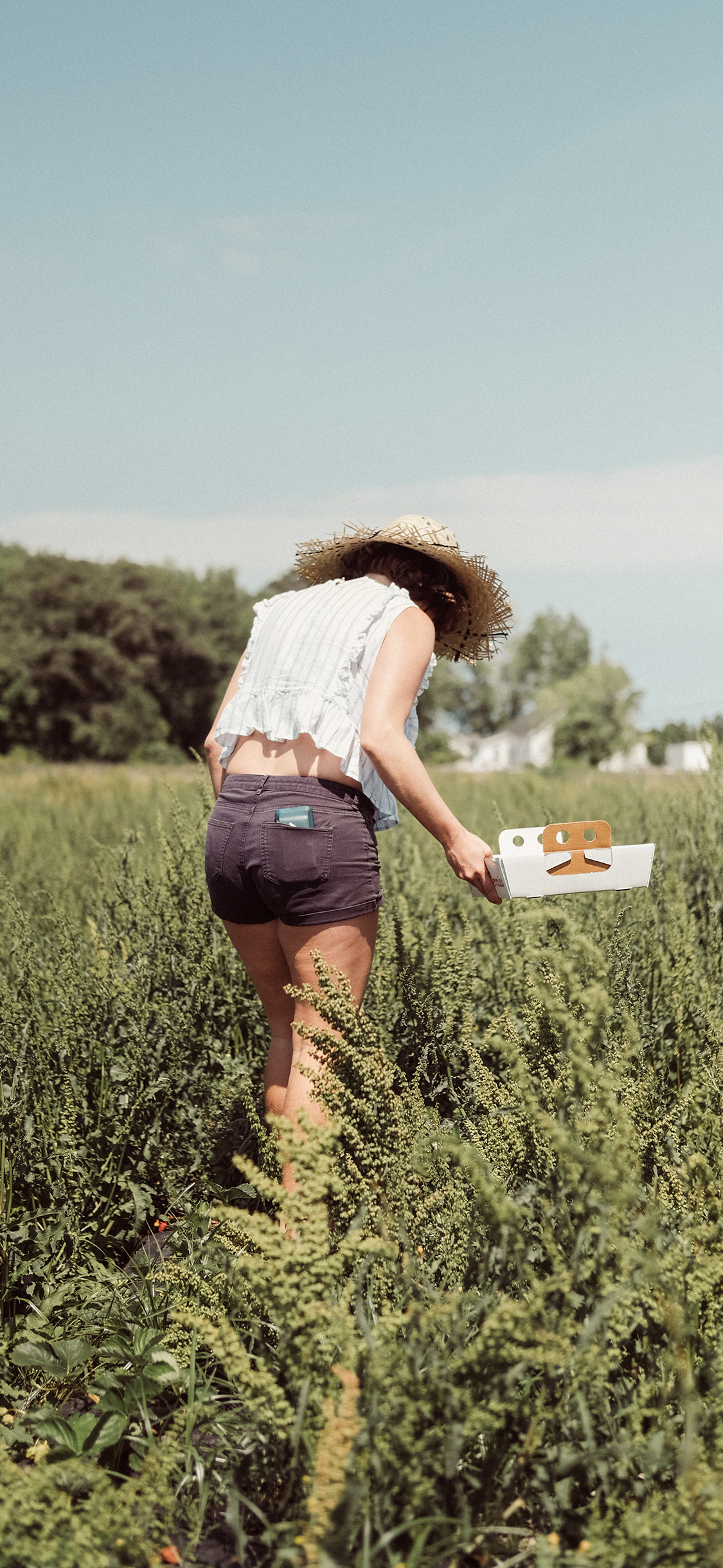 [2436×1125]花田 女孩 背影 苗条 苹果手机壁纸图片