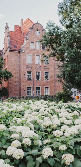 [2436x1125]花田 建筑 花圃 公园 苹果手机壁纸图片
