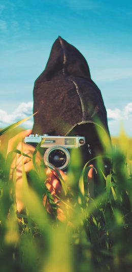 [2436x1125]草丛 摄影 数码 相机 苹果手机壁纸图片