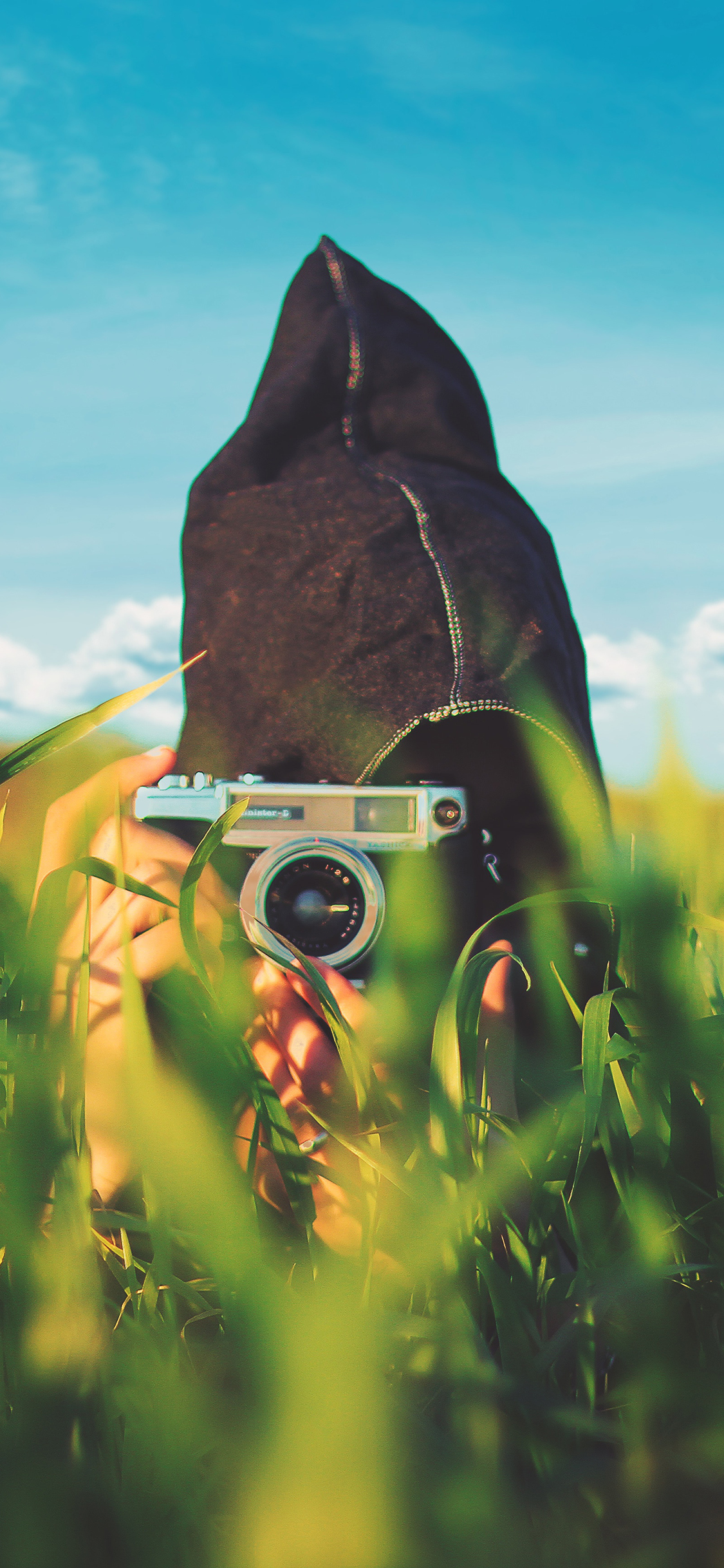 [2436×1125]草丛 摄影 数码 相机 苹果手机壁纸图片