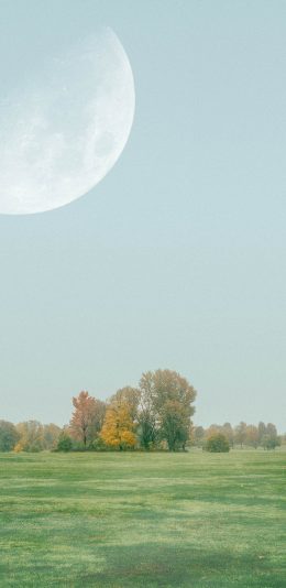 [2436x1125]草原 绿色 树木 大自然 月亮 苹果手机壁纸图片