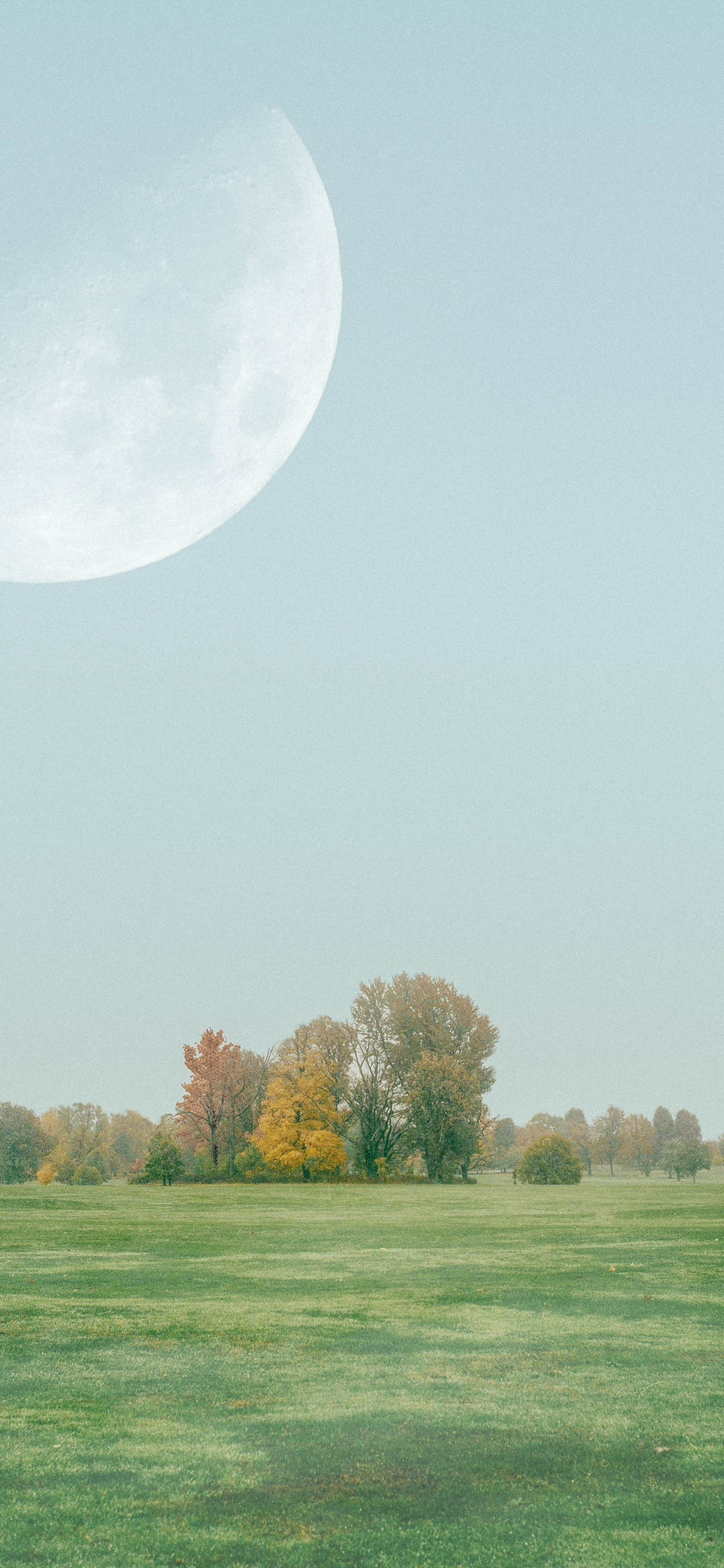 [2436×1125]草原 绿色 树木 大自然 月亮 苹果手机壁纸图片