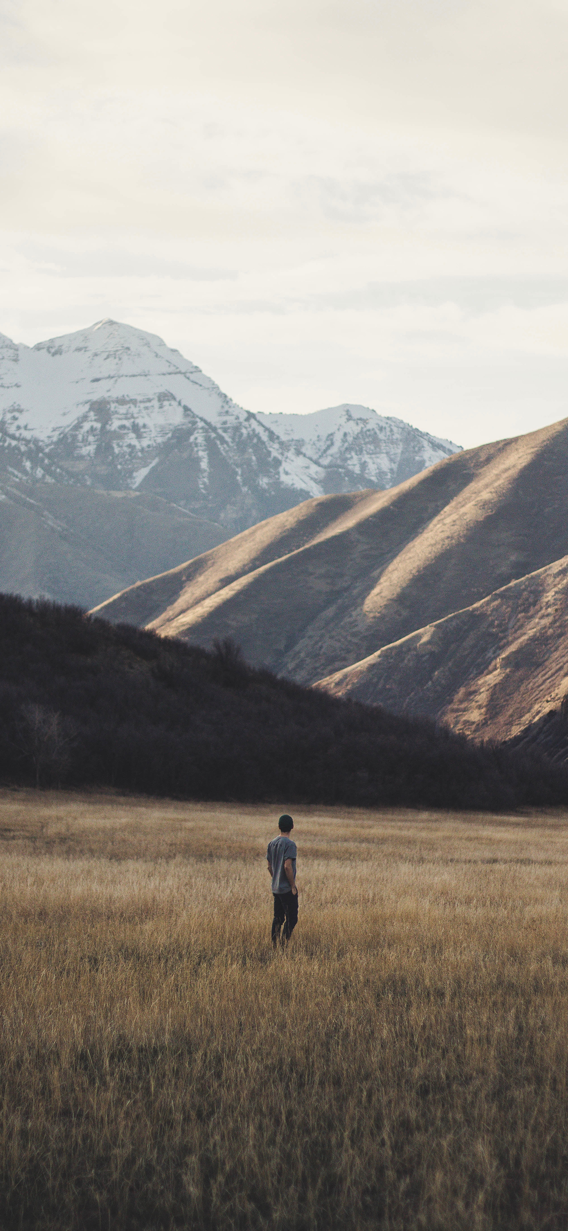 [2436×1125]草原 雪山 大自然 男孩 苹果手机壁纸图片