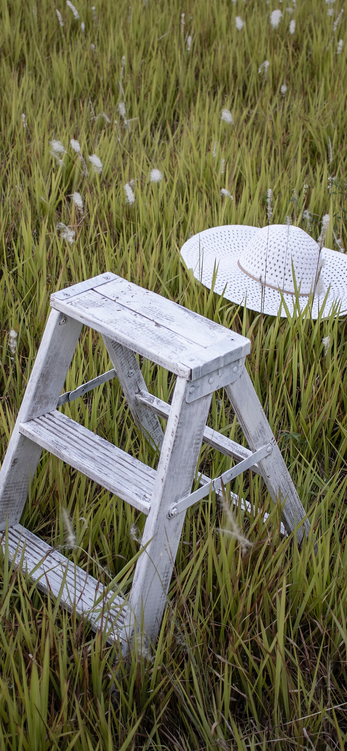 [2436×1125]草地 帽子 爬梯 梯子 苹果手机壁纸图片