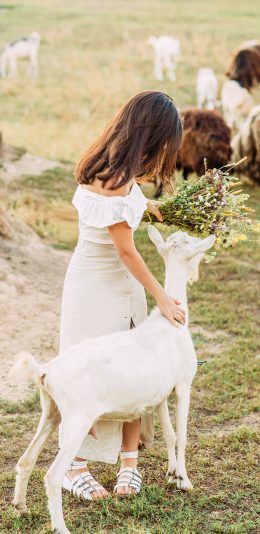[2436x1125]草坪 小鹿 女孩背影 鲜花 写真 苹果手机壁纸图片