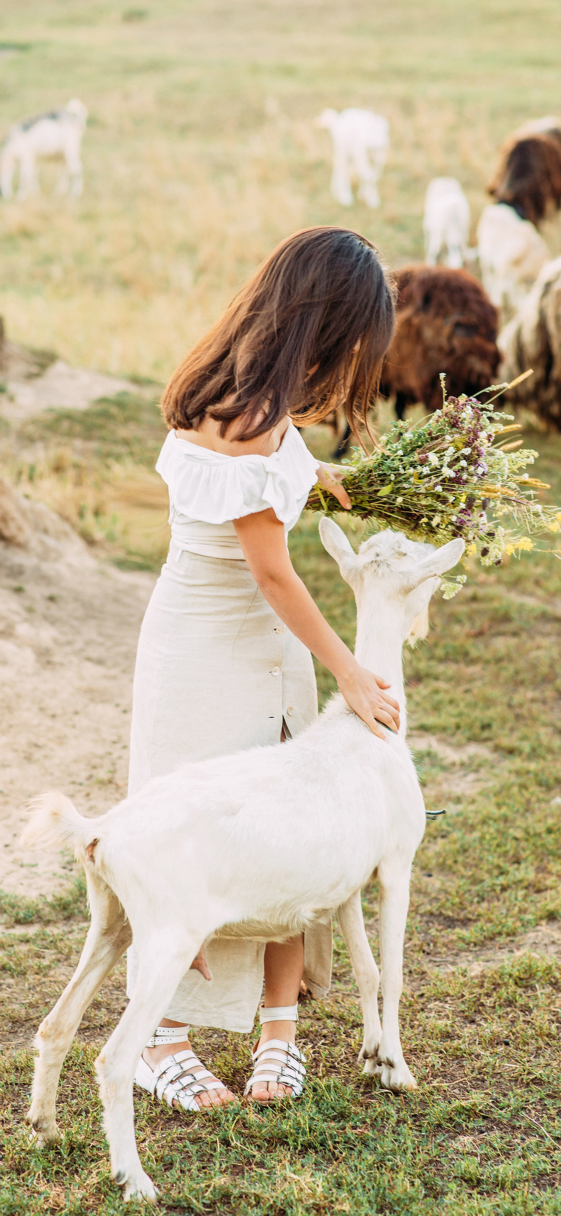[2436×1125]草坪 小鹿 女孩背影 鲜花 写真 苹果手机壁纸图片