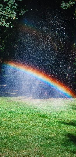[2436x1125]草坪 树木 雨水 彩虹 自然 苹果手机壁纸图片