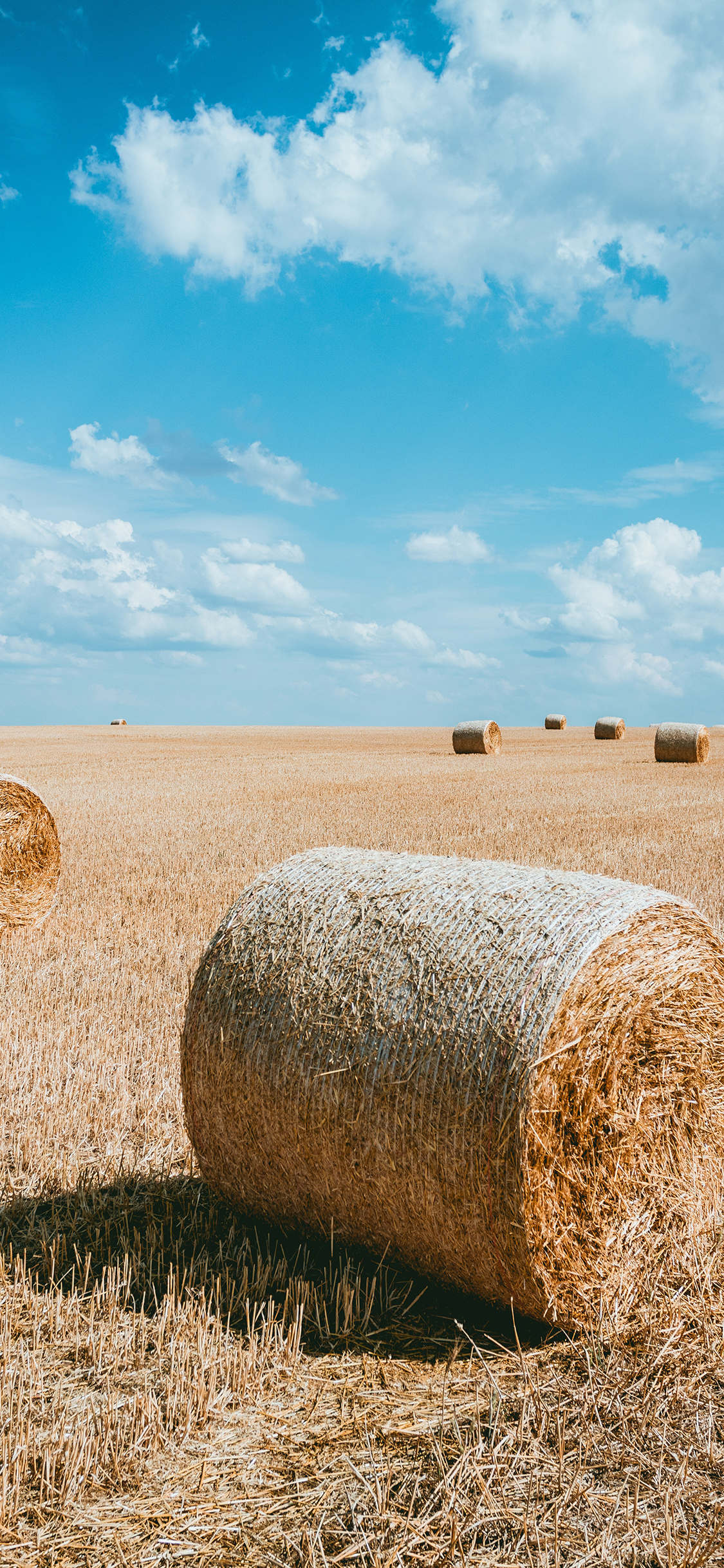 [2436×1125]草垛 蓝天白云 广阔 草堆 苹果手机壁纸图片