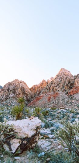 [2436x1125]荒山 绿植 高山  碎石 植被 苹果手机壁纸图片