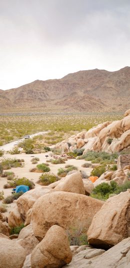 [2436x1125]荒野 岩石 野外 草丛 苹果手机壁纸图片