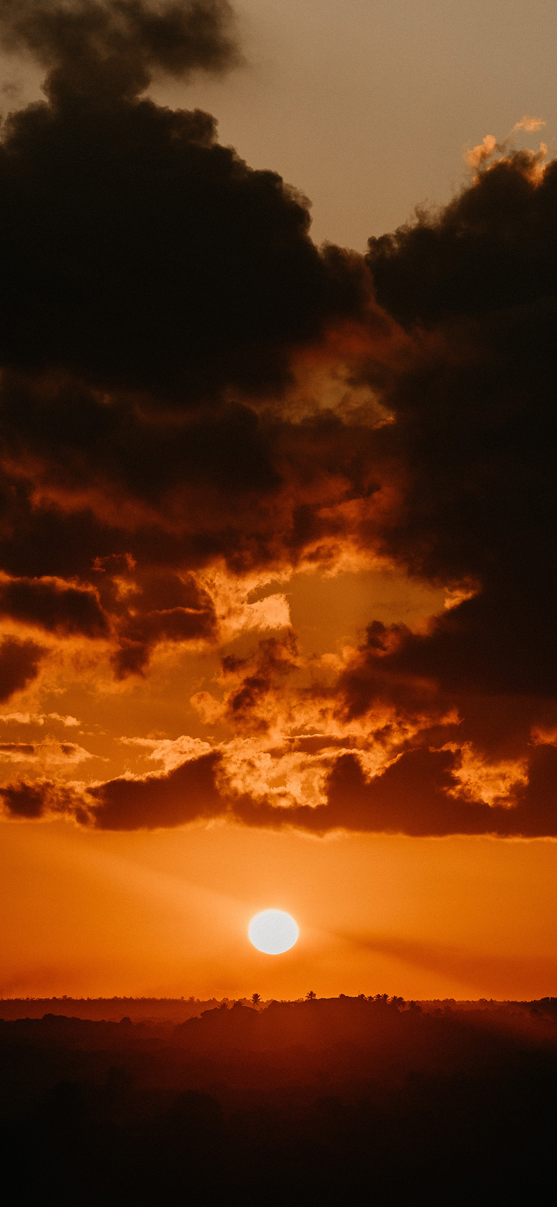 [2436×1125]落日 夕阳 唯美 云空 苹果手机壁纸图片