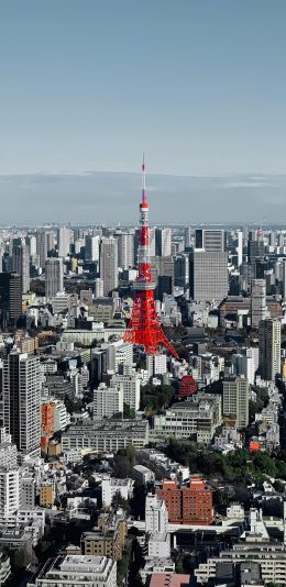 [2436x1125]蓝天 城市 建筑  东京塔 苹果手机壁纸图片