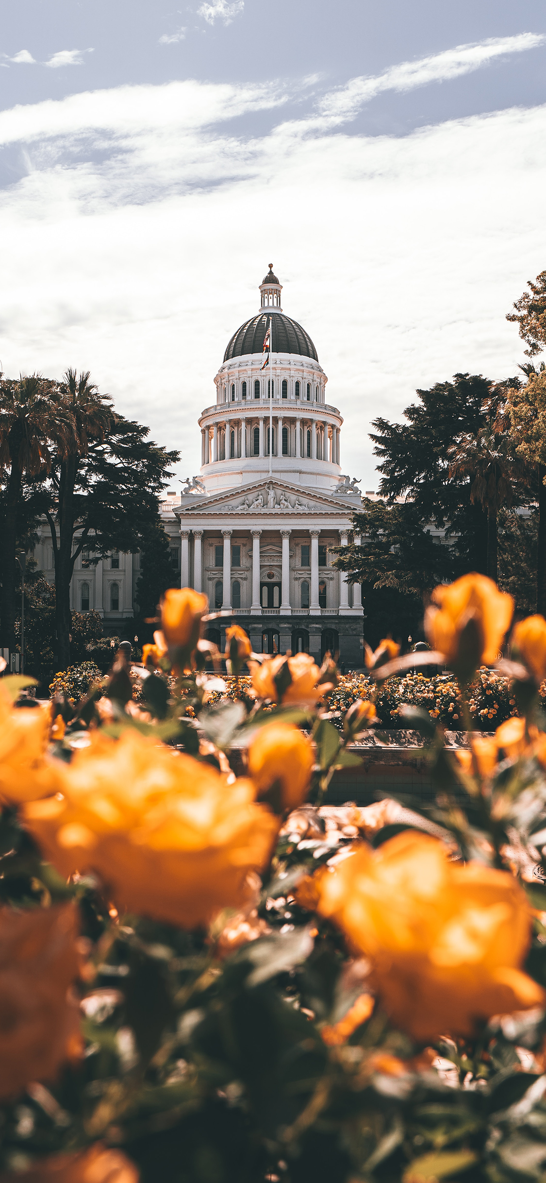 [2436×1125]蓝天 建筑 欧式 鲜花 黄色 苹果手机壁纸图片