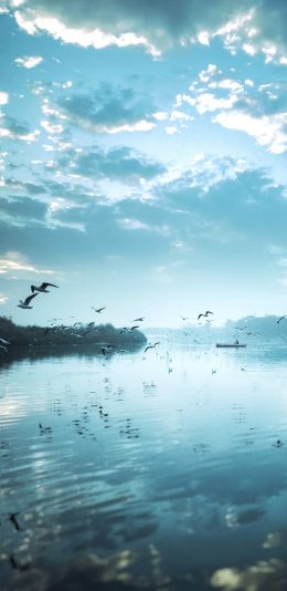 [2436x1125]蓝天 湖泊 海鸥 飞鸟 唯美 苹果手机壁纸图片