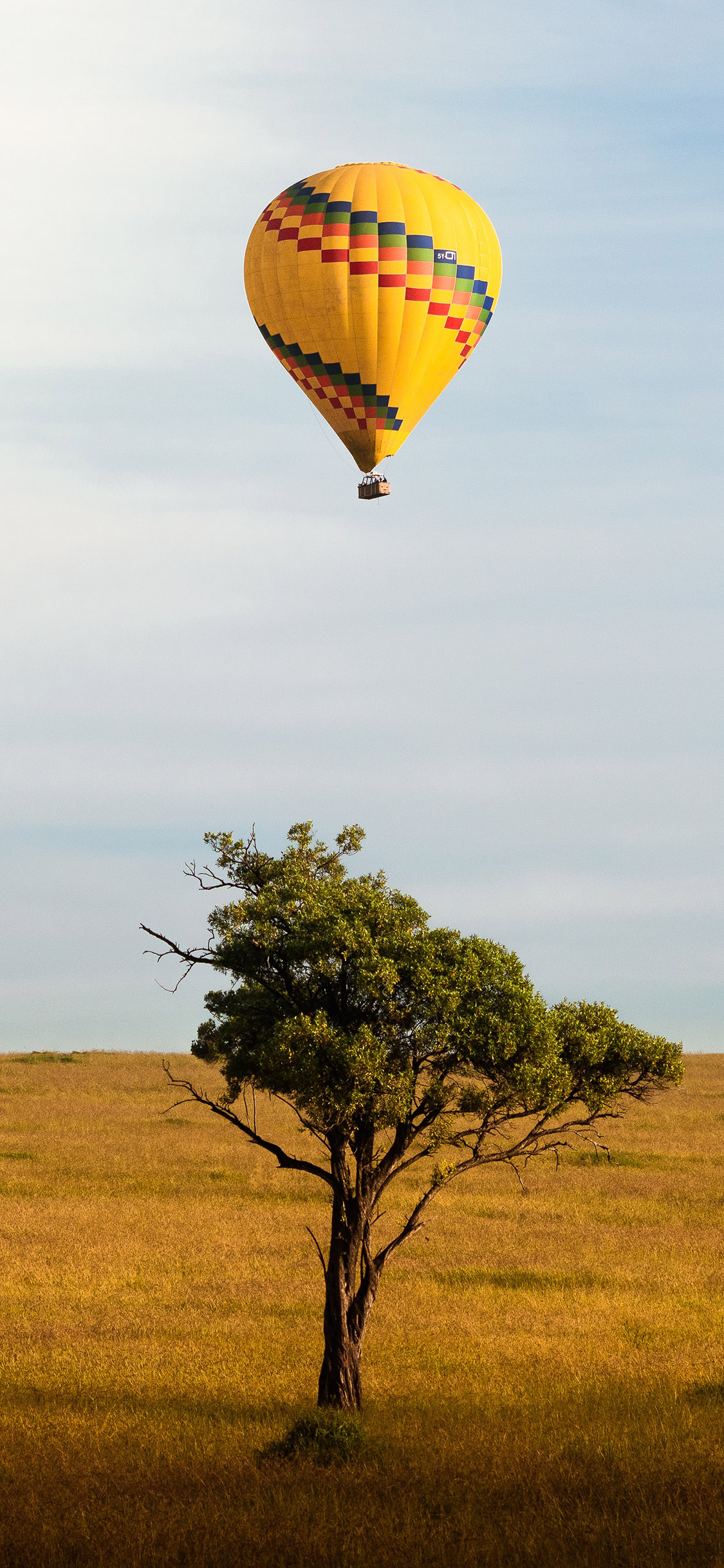 [2436×1125]蓝天 热气球 黄色 树木 草坪 苹果手机壁纸图片