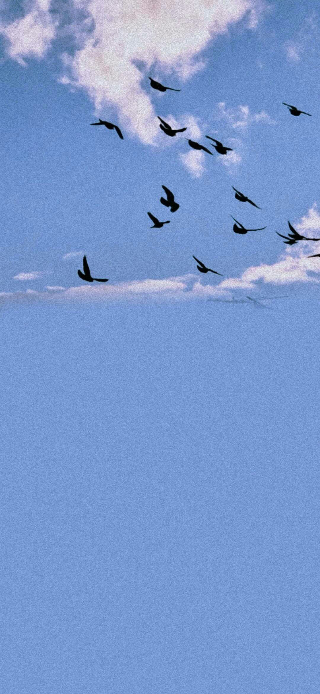 [2436×1125]蓝天 白云 大雁 鸟群 苹果手机壁纸图片
