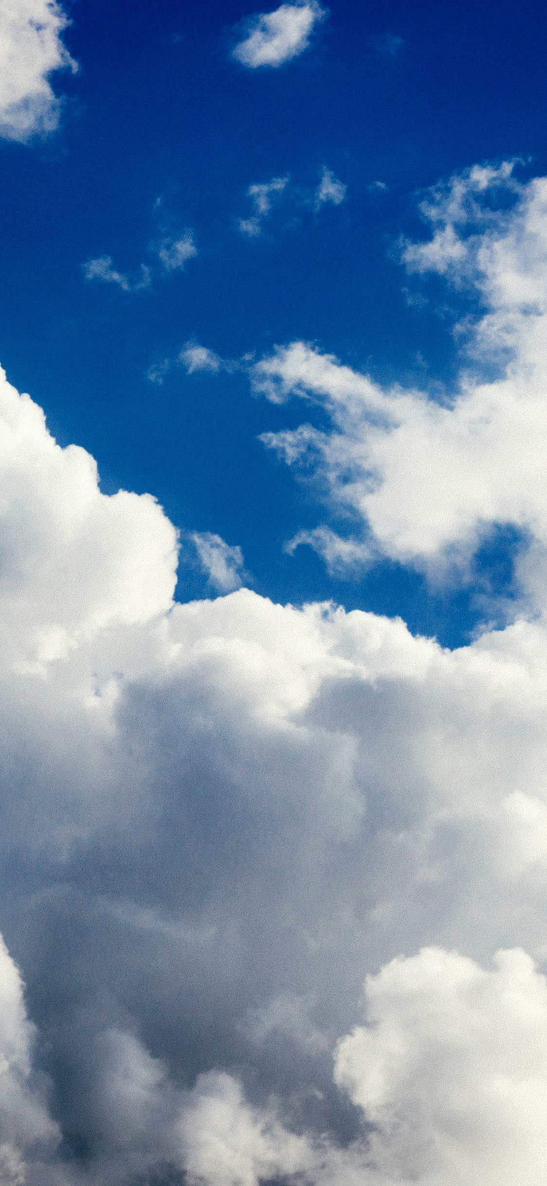 [2436×1125]蓝天 白云 天空 蔚蓝 苹果手机壁纸图片