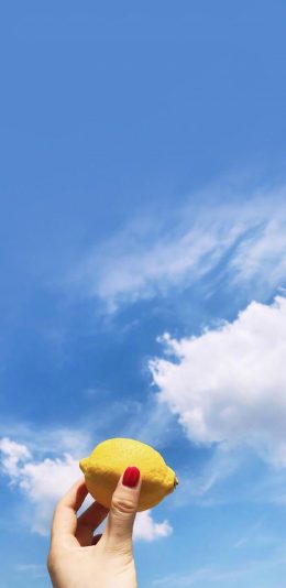 [2436x1125]蓝天 白云 水果 柠檬 手 苹果手机壁纸图片