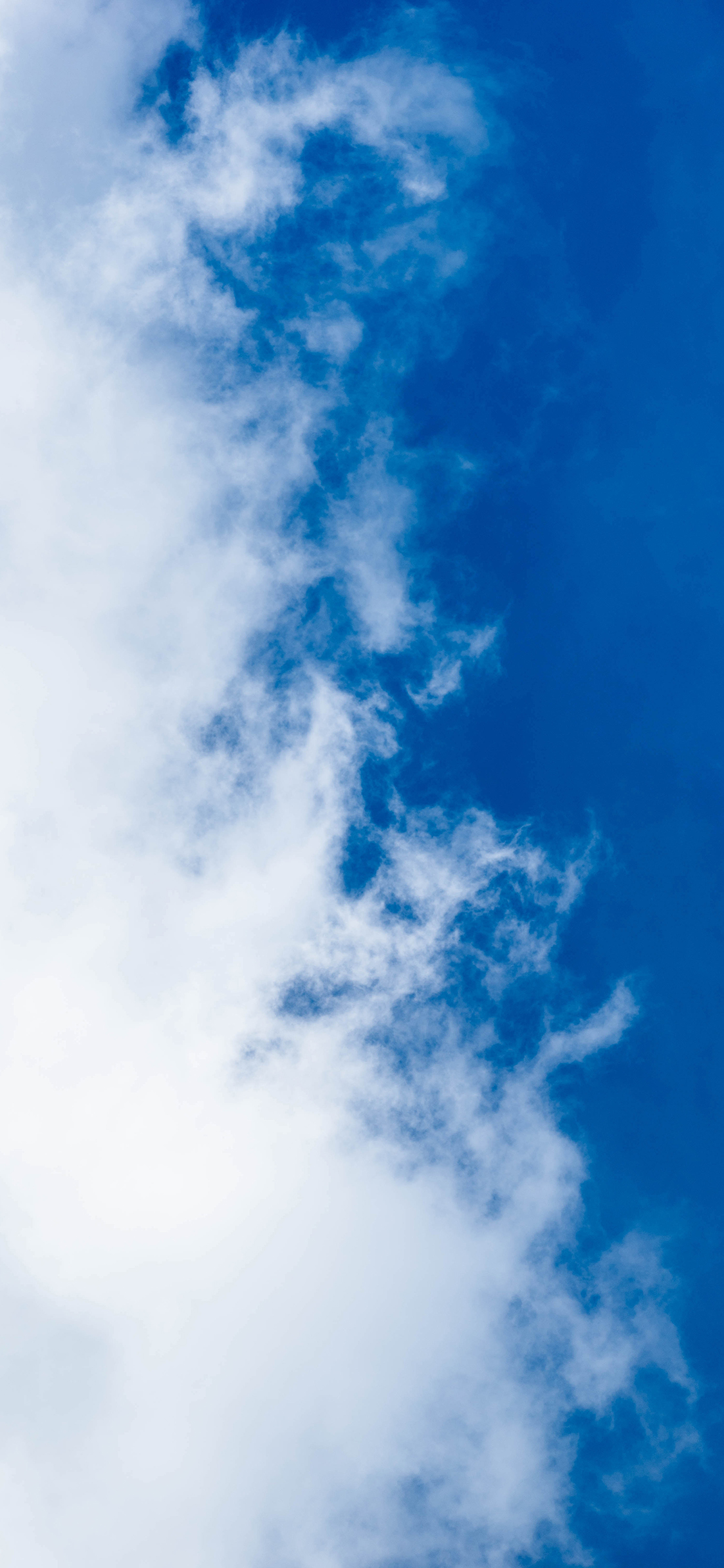 [2436×1125]蓝天 白云 蔚蓝  云层 苹果手机壁纸图片