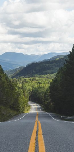 [2436x1125]蓝天 车道 树木 郊区 苹果手机壁纸图片